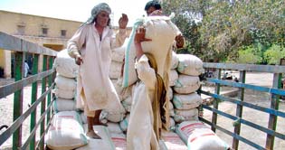 Govt. allows export of wheat products